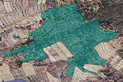 Plot for sale in Monóvar/Monòver, Alicante. 