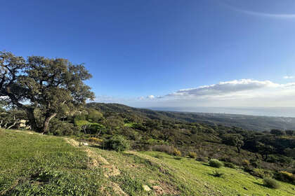 Plot for sale in Ojén, Málaga. 
