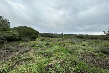 Plot for sale in Sotogrande, Cádiz. 