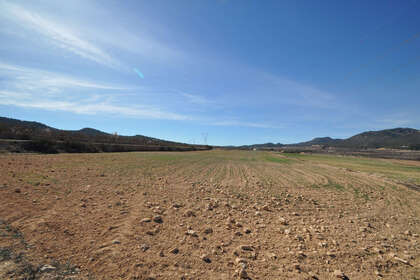 Plot for sale in Salinas, Alicante. 