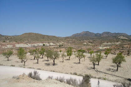 Plot for sale in Abanilla, Murcia. 