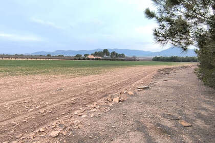 Plot for sale in Yecla, Murcia. 