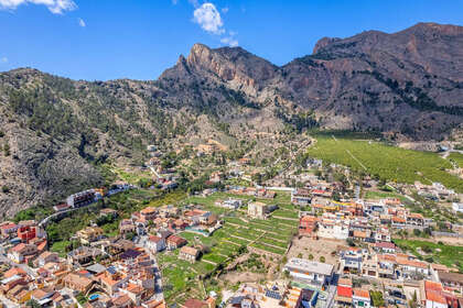 Ranch for sale in Orihuela, Alicante. 