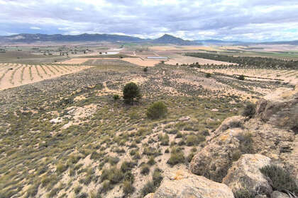 Plot for sale in Yecla, Murcia. 