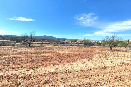 Plot for sale in Jumilla, Murcia. 