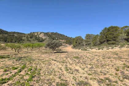Plot for sale in Yecla, Murcia. 