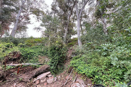 Plot for sale in Málaga. 