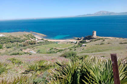 Plot for sale in Tarifa, Cádiz. 