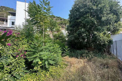 Plot for sale in Mijas, Málaga. 