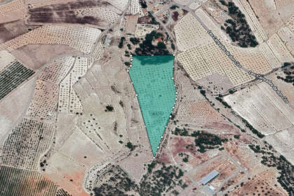 Plot for sale in Monóvar/Monòver, Alicante. 