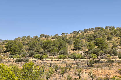 Plot for sale in Monóvar/Monòver, Alicante. 