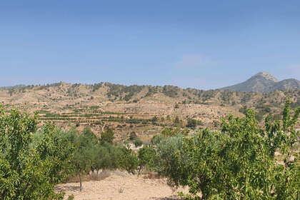 Plot for sale in Abanilla, Murcia. 