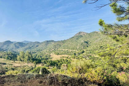 Plot for sale in Benahavís, Málaga. 