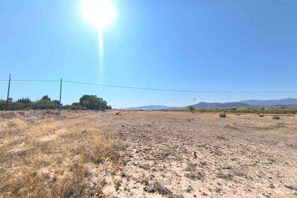 Plot for sale in Pinoso, Alicante. 