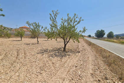 Plot for sale in Jumilla, Murcia. 