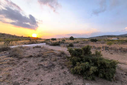 Plot for sale in Pinoso, Alicante. 