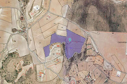 Plot for sale in Pinoso, Alicante. 