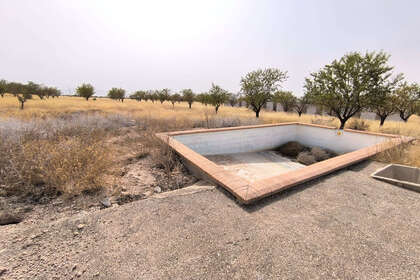 Plot for sale in Yecla, Murcia. 