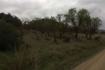 Percelen/boerderijen verkoop in Coín, Málaga. 