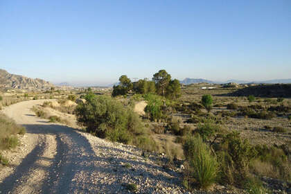 Plot for sale in Abanilla, Murcia. 