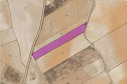 Plot for sale in Yecla, Murcia. 