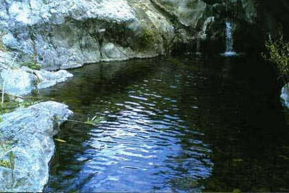 Ranch for sale in Estepona, Málaga. 
