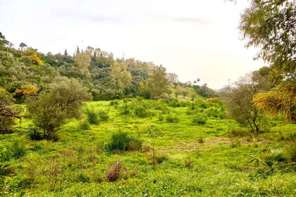 Plot for sale in Benahavís, Málaga. 
