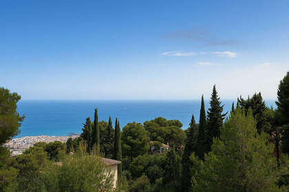 Plot for sale in Vélez-Málaga. 