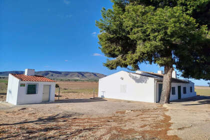 Ranch for sale in Yecla, Murcia. 