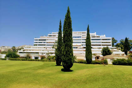 Apartment zu verkaufen in Guadalmina, Málaga. 