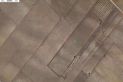 Grundstück/Finca zu verkaufen in Yecla, Murcia. 