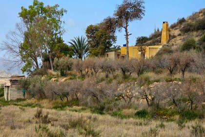 Ranch for sale in Murcia. 