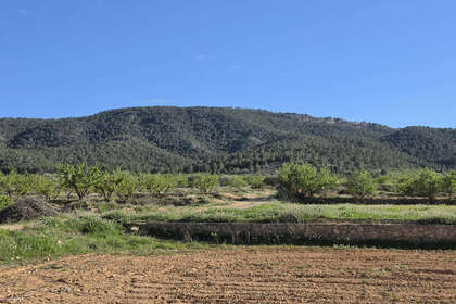 Grundstück/Finca zu verkaufen in Monóvar/Monòver, Alicante. 