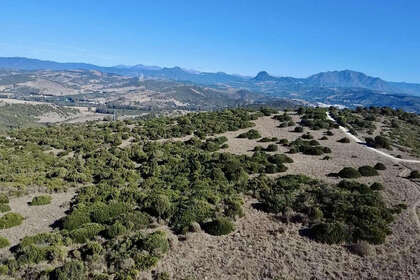 Grundstück/Finca zu verkaufen in Sotogrande, Cádiz. 