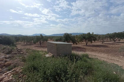 Plot for sale in Salinas, Alicante. 