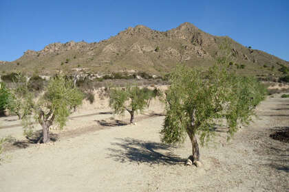 Plot for sale in Abanilla, Murcia. 