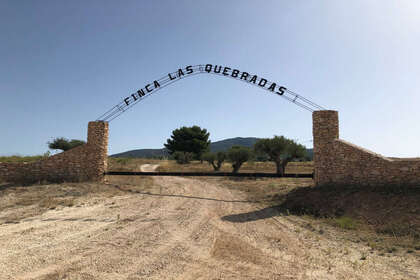 Plot for sale in Yecla, Murcia. 
