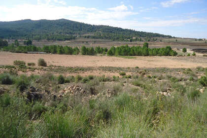 Grundstück/Finca zu verkaufen in Monóvar/Monòver, Alicante. 