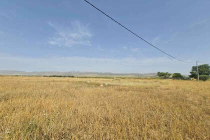 Plot for sale in Yecla, Murcia. 