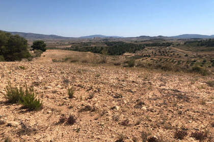 Plot for sale in Murcia. 