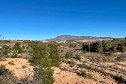 Plot for sale in Murcia. 