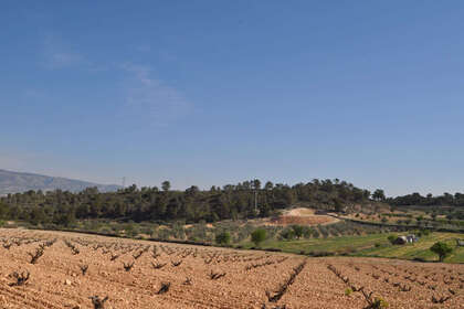 Plot for sale in Murcia. 