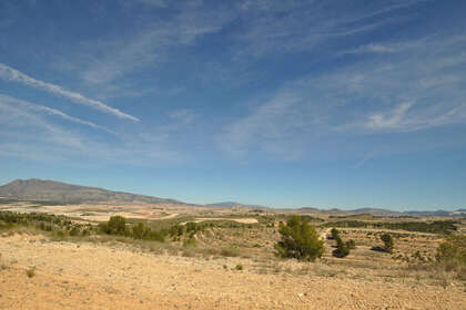 Plot for sale in Murcia. 
