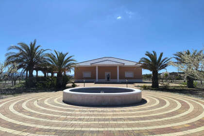 Casa Cluster venda em Pinoso, Alicante. 