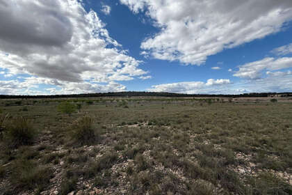 Plot for sale in Yecla, Murcia. 