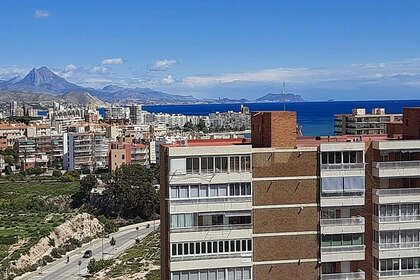 Apartment zu verkaufen in Campello (el), Alicante. 