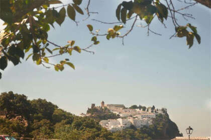 Ranch for sale in Casares, Málaga. 