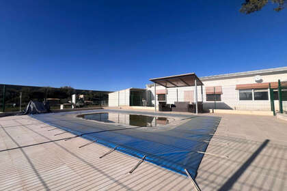 Ranch for sale in Jumilla, Murcia. 