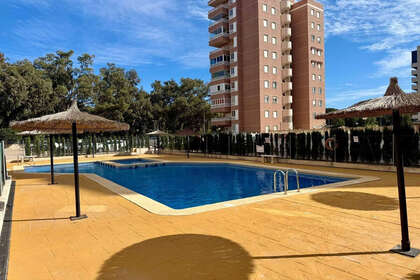Appartement vendre en Guardamar del Segura, Alicante. 