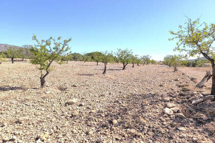 Grundstück/Finca zu verkaufen in Monóvar/Monòver, Alicante. 